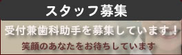 スタッフ募集